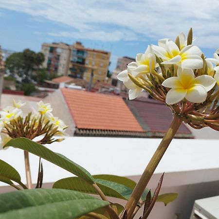 Apartamento Plumaria Málaga Extérieur photo